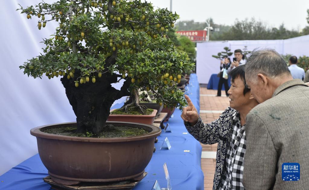 百老汇网址400